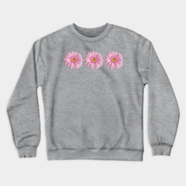 Three Pink Gerberas Floral Photo Crewneck Sweatshirt by ellenhenryart